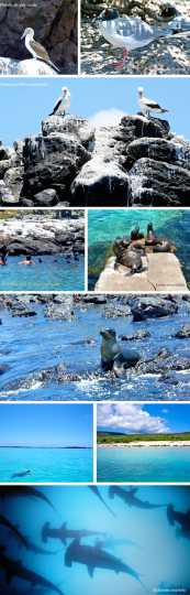 ilhas galápagos em julho (1)