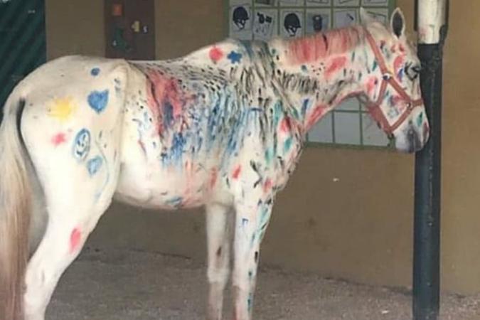 cavalo pintado por crianças