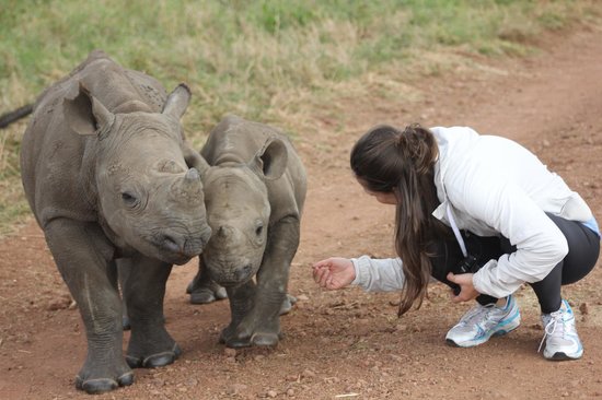 lewa-safari-camp