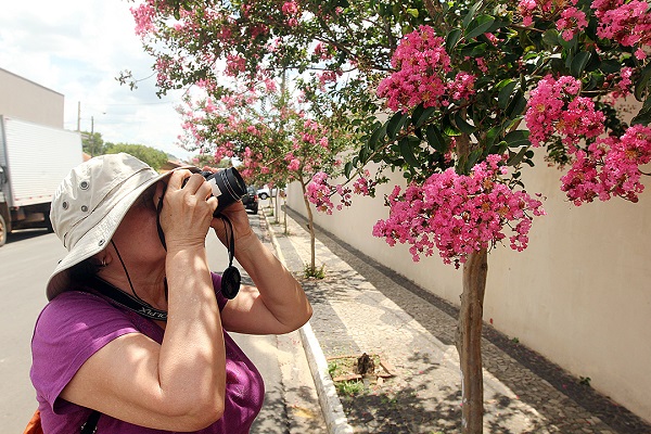 Festival de Analândia (2)