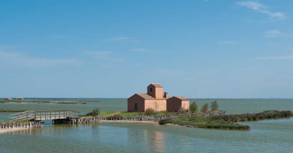 Parma (2)