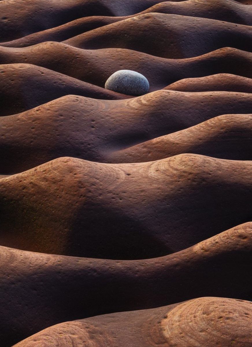 Imagens premiadas são de fotógrafo amador