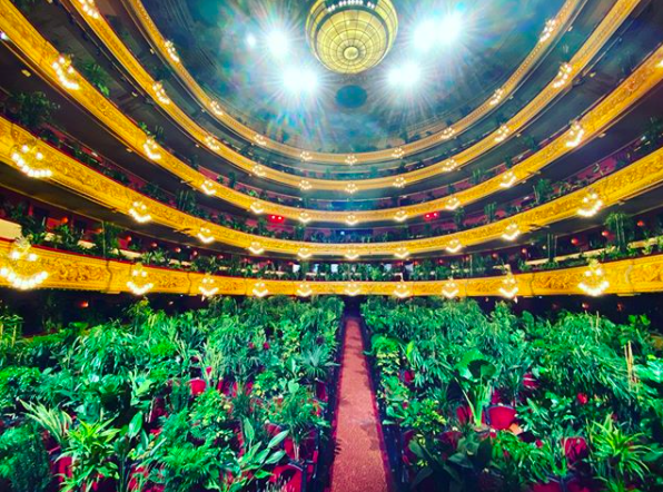 ópera para plantas